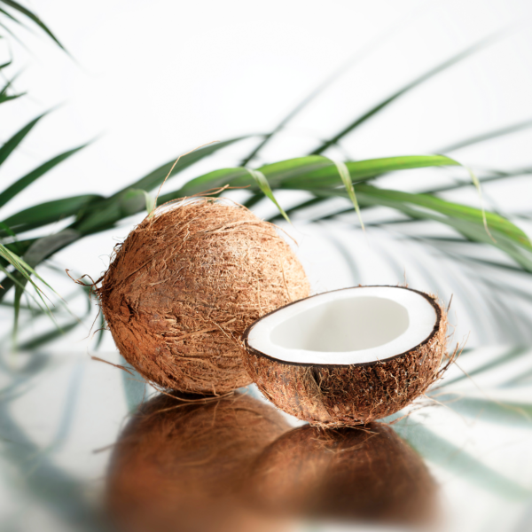 Ceylon Desiccated Coconut - Image 4